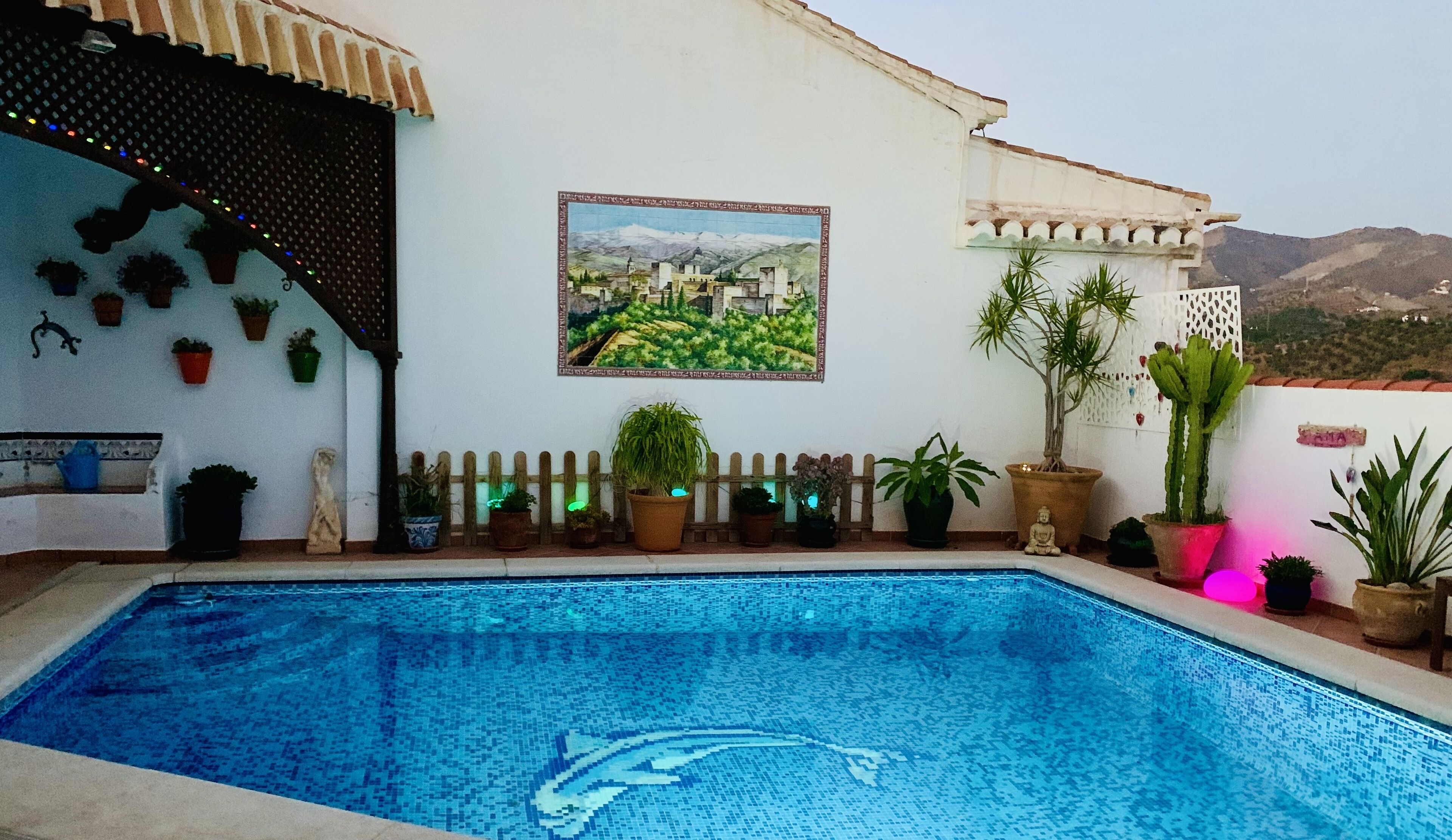 A swimming pool with a dolphin mosaic, surrounded by potted plants and a mural of a landscape.
