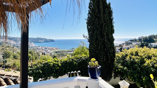 Un balcón con vista al mar, un alto ciprés y una maceta azul con plantas.