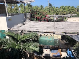 Lunarena Suite, vista a la selva/alberca | Terraço/pátio