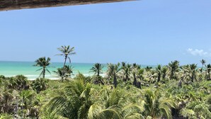 Vista de playa con palmeras y una estructura de madera sobre ella.