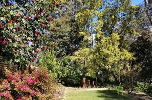 Terrain de l’hébergement