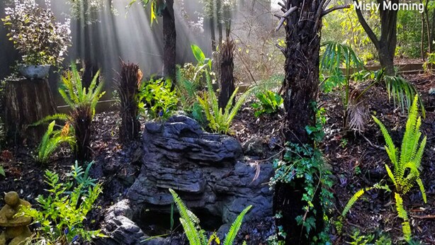 A naturalistic garden with a rock formation, ferns, and various plants.