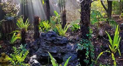 Chic, SC Wohnung mit Fairy Garden. Billy schnaufend in der Nähe.
