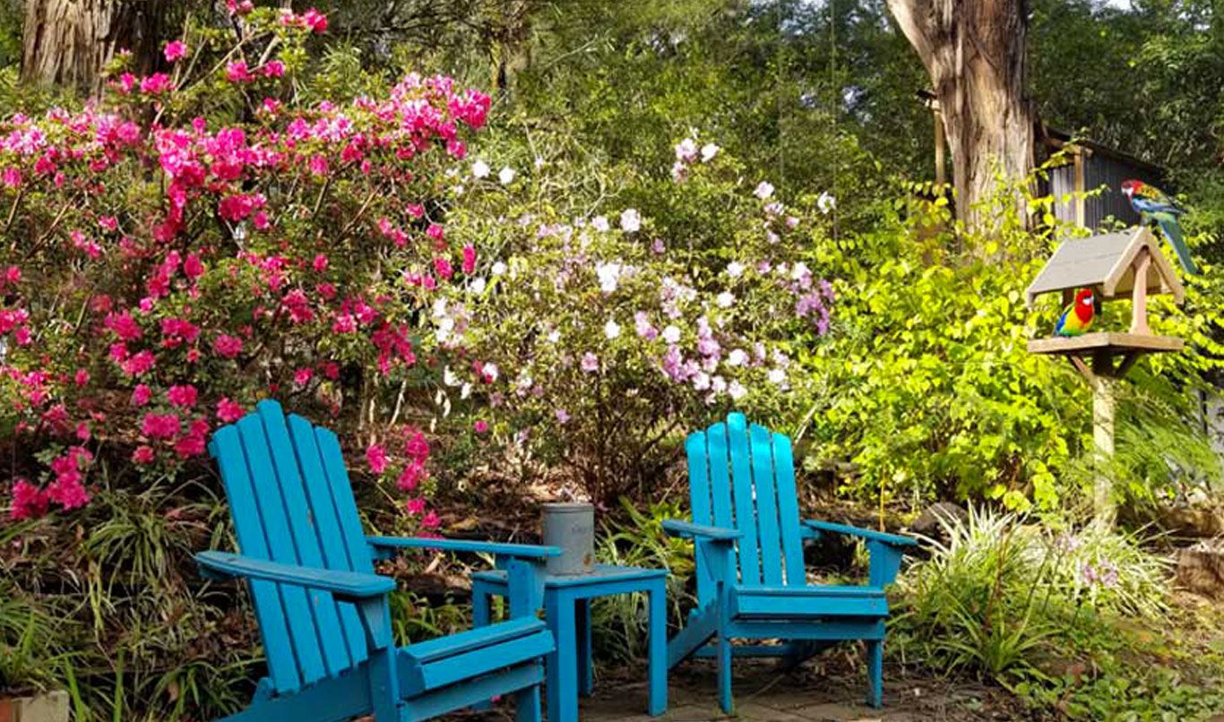 A garden with two blue Adirondack chairs, a bird feeder, and a variety of flowering plants.