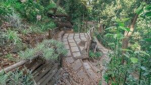 Un sendero de piedra que serpentea por un área boscosa con una valla de madera a un lado.