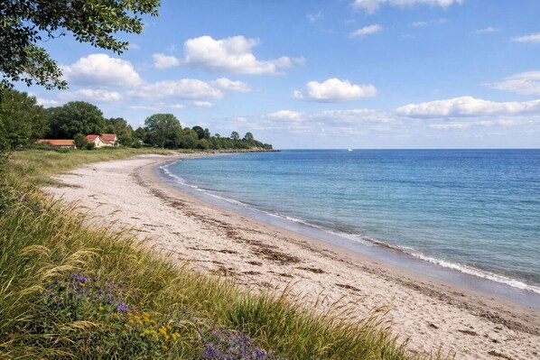 Playa en los alrededores 