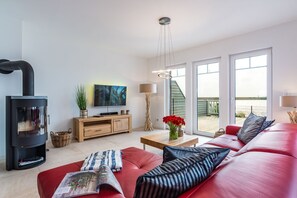 Televisión, chimenea, reproductor de DVD, libros