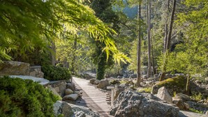 A stone pathway leading through a forested area with large rocks and trees.