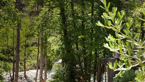 A rectangular pool with lounge chairs and a wooden deck, surrounded by trees and a stone wall.