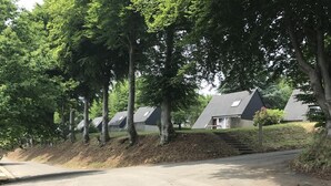 Eine Wohnstraße mit Häusern, Bäumen und einer Auffahrt.