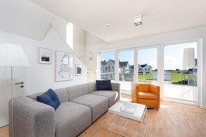 Televisio, takka, DVD-soitin, musiikkikirjasto