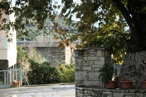 Property grounds - Detached house in the center of Apomarma village. The perfect place to relax. (heraklion)