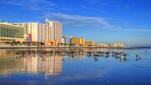 A beachfront hotel with multiple high-rise buildings, a sandy beach, and a large flock of birds. - Good Times and Tan Lines! (Daytona Beach)