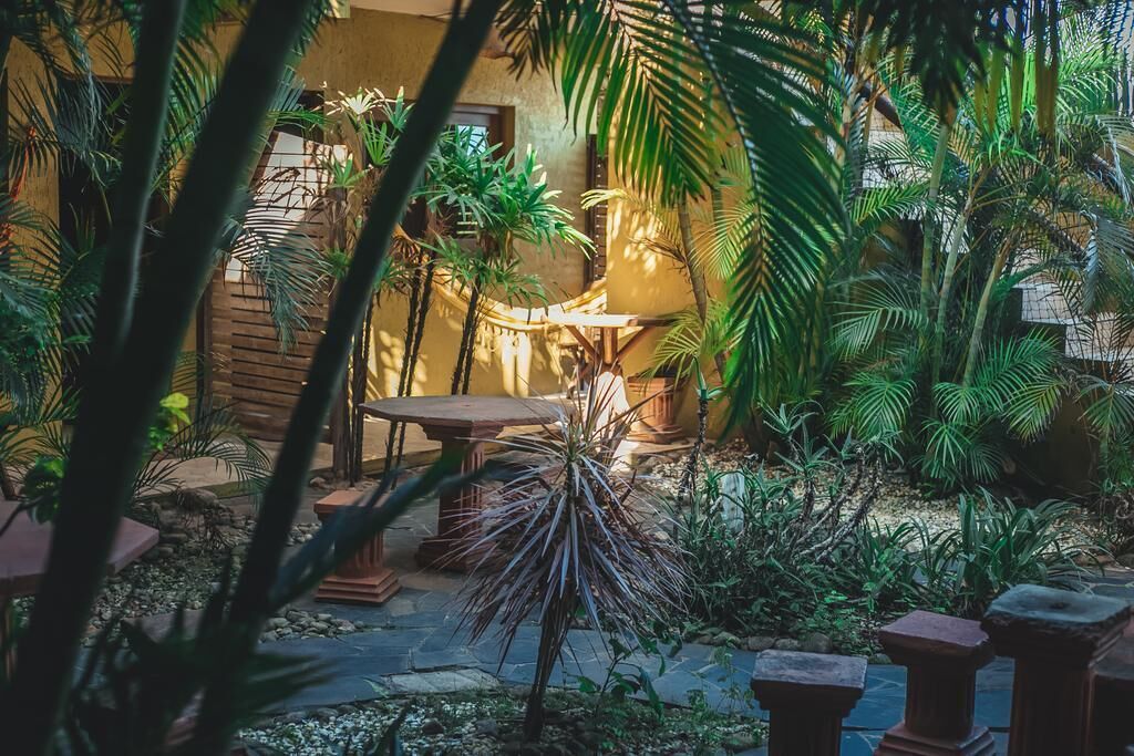 Un jardín tropical con una mesa y sillas de madera, rodeado de diversas plantas y un sendero de piedra.