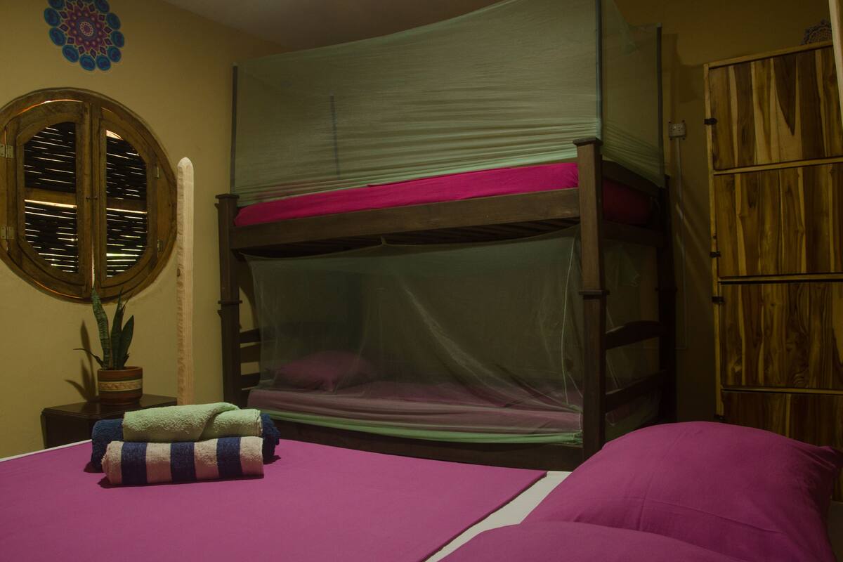 Una cama litera con mosquitero, una planta en maceta y una mesita de noche con lámpara.