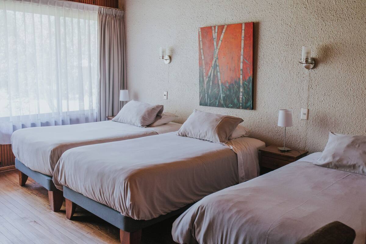 Una habitación de hotel con tres camas individuales, un cuadro en la pared y una ventana con cortinas.