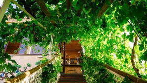Un escalier en bois, entouré d’un feuillage verdoyant et luxuriant, mène à une porte en bois.