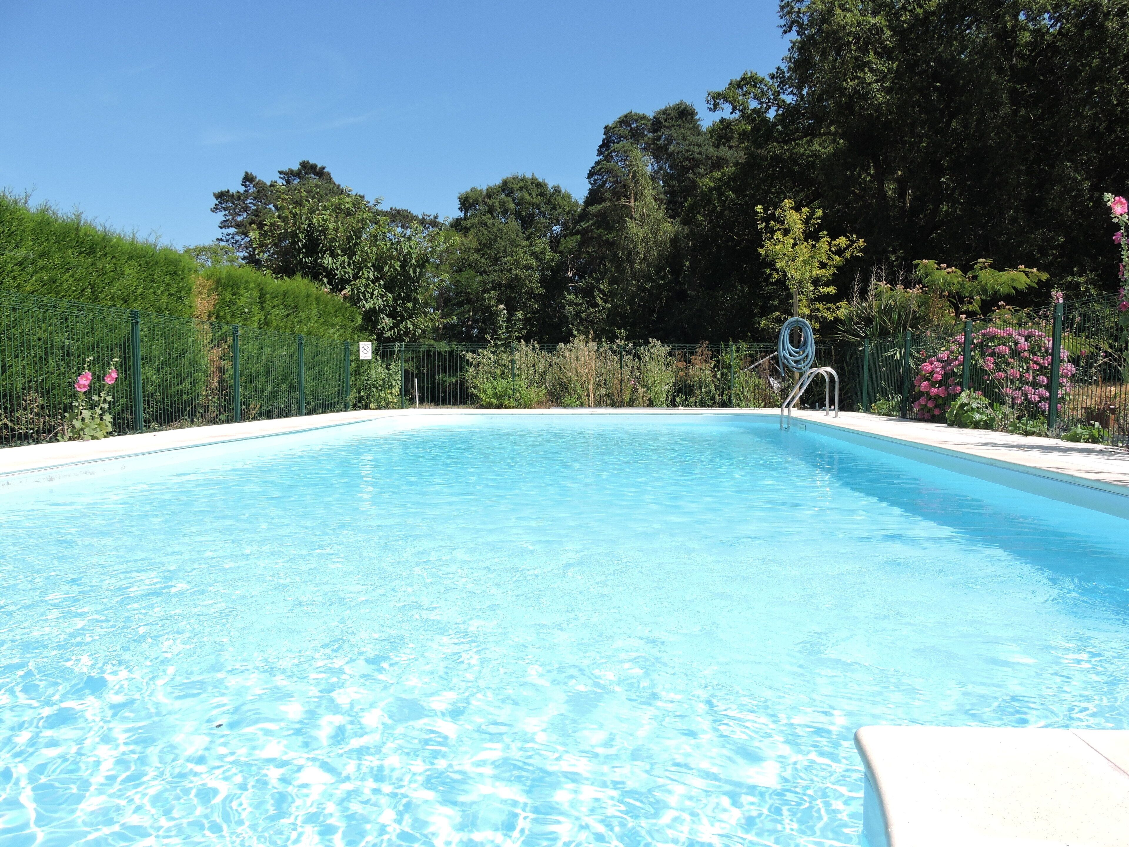 A clear blue swimming pool surrounded by a green fence, with trees and shrubs in the background.