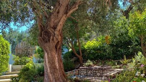 Un jardín con un árbol grande, un banco de piedra y diversas plantas en macetas.