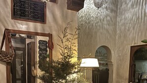 A cozy interior with a wooden table, chairs, a potted plant, and a hanging light fixture. - Dar Rafti (Fes)
