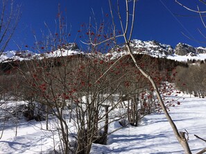 Deportes de invierno y ski