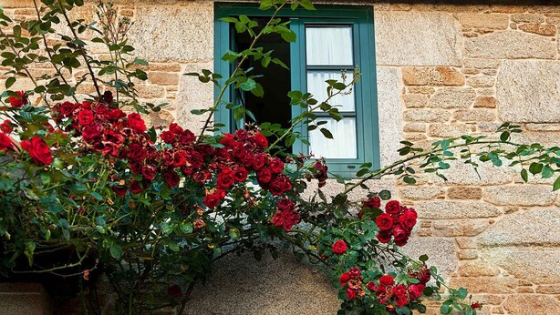 A stone building with a window and a wall-mounted planter with red roses. - TWO ROOM APARTMENT (Laxe)