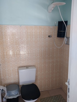 Regadera y papel de baño 