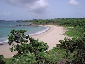 Plage à proximité, chaises longues, serviettes de plage
