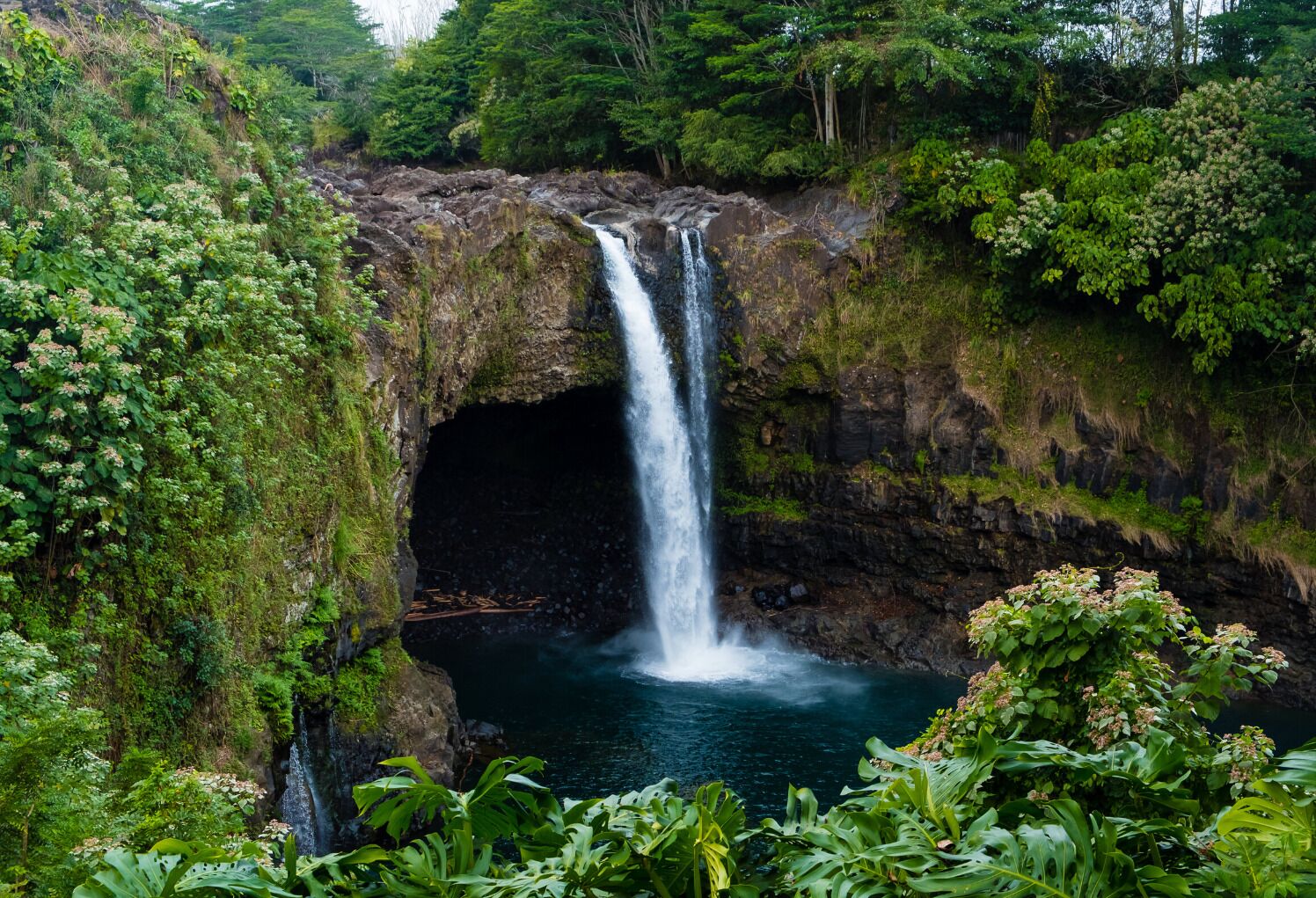 Uma cascata deságua em uma piscina rodeada por vegetação exuberante.