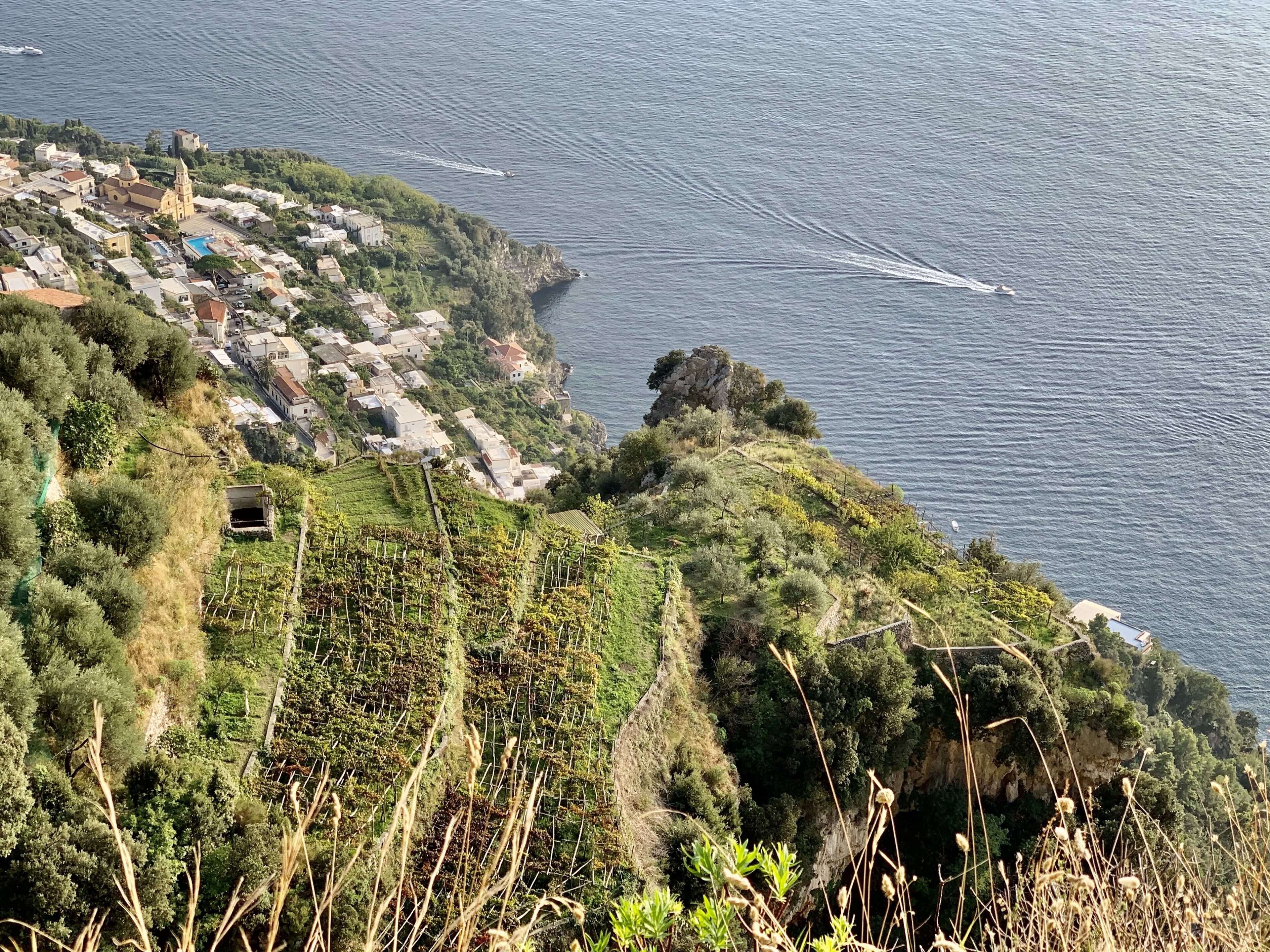 Un village côtier doté de vignobles en terrasses et d’une église.