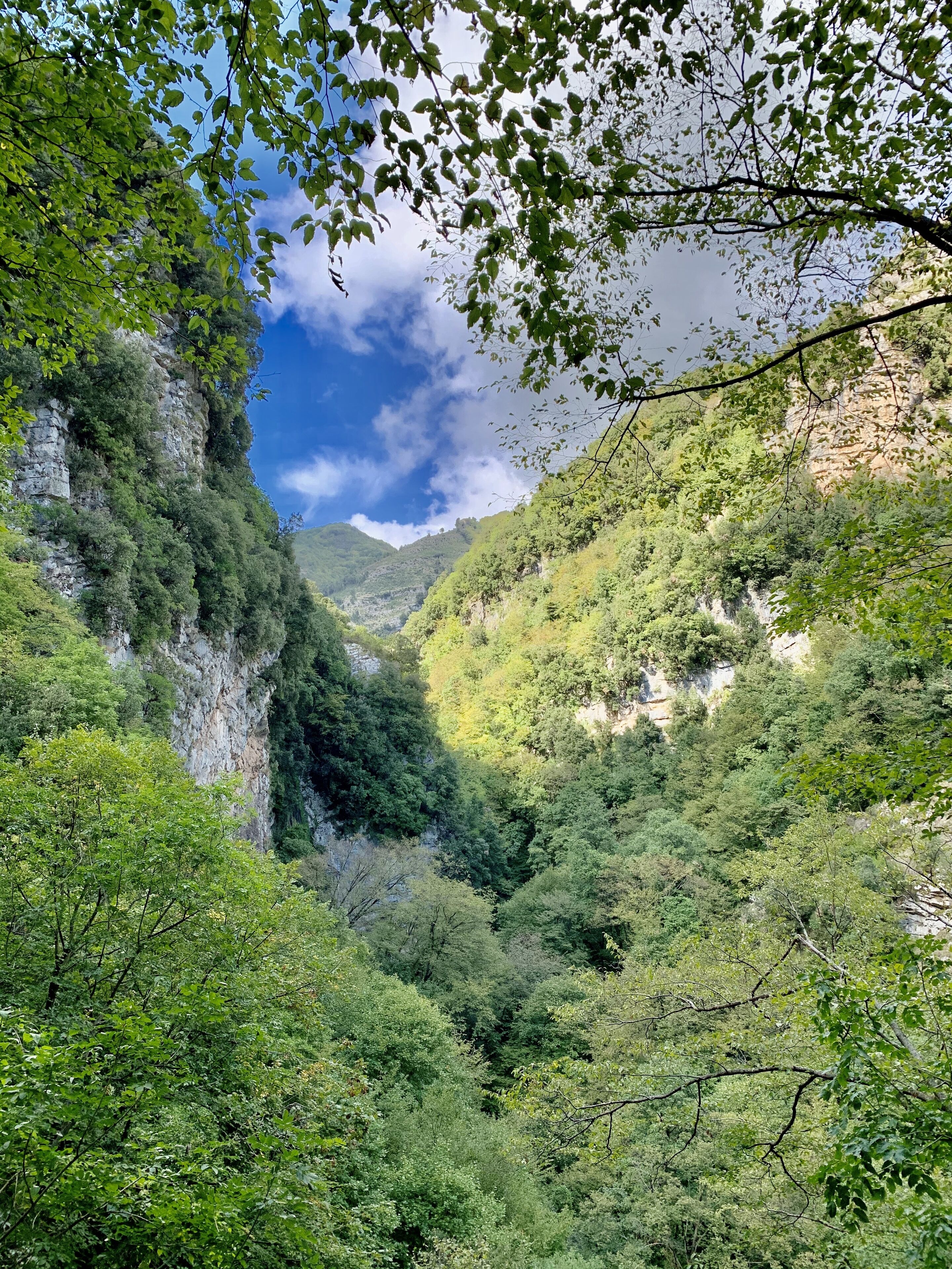 Un paysage montagneux caractérisé par une végétation luxuriante et de hautes falaises rocheuses.