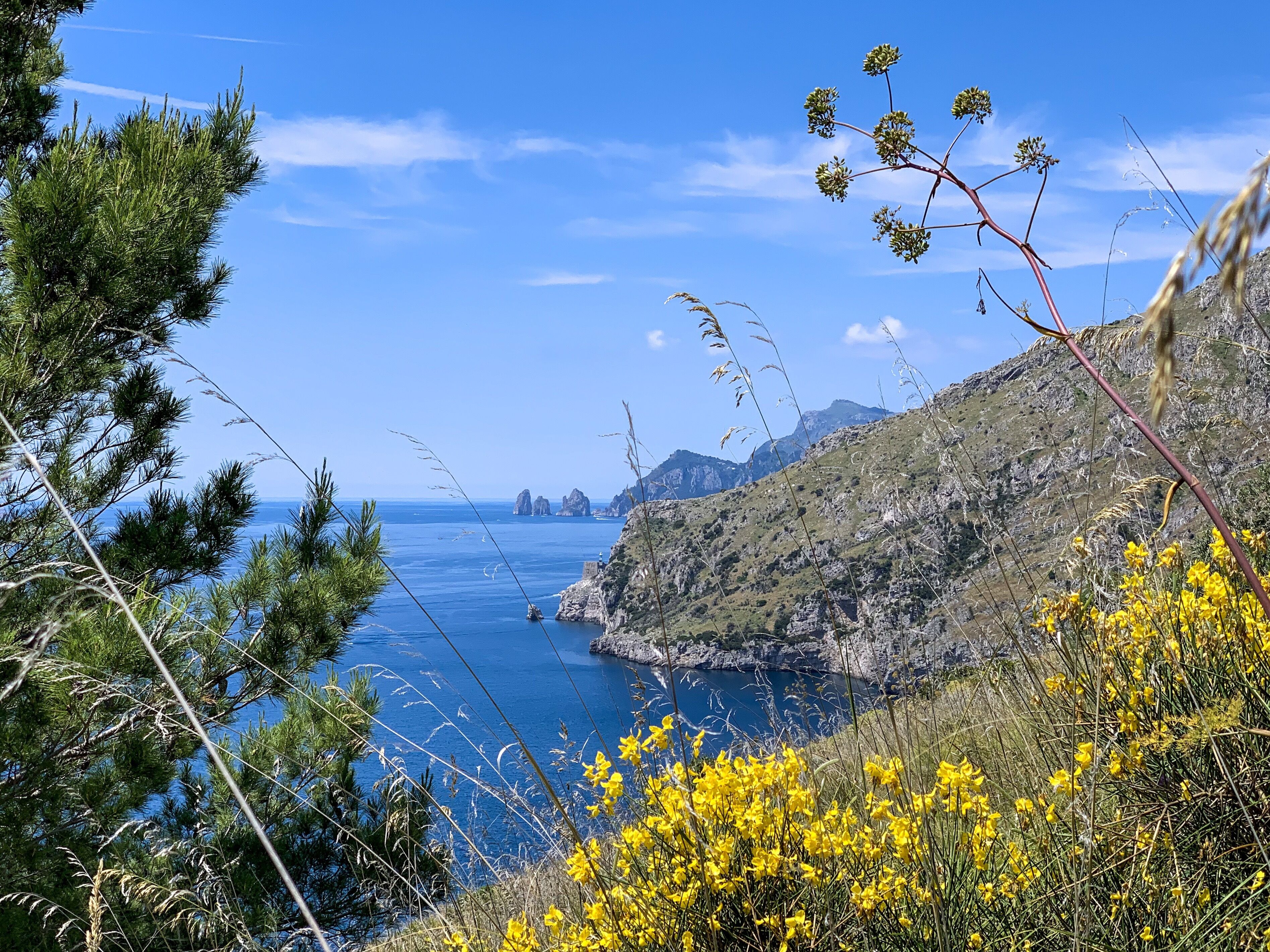 Un paisaje costero con vista despejada al mar, terreno rocoso y flores amarillas.