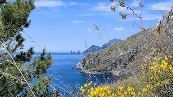 Un paisaje costero con vista despejada al mar, terreno rocoso y flores amarillas.