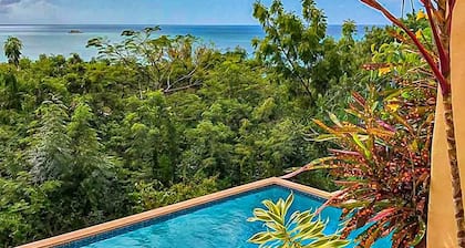 Beautiful villa with a large, well maintained Private Pool
