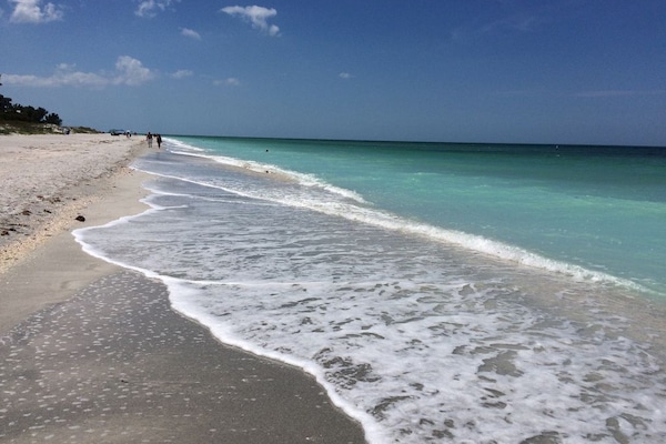 Plage à proximité, chaises longues, serviettes de plage