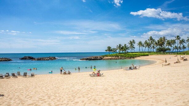 Ein Strand mit blauem Himmel, Palmen und Menschen, die das Wasser genießen.