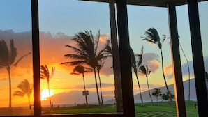 Zonsondergang zicht door een raam, met palmbomen en een gazon.