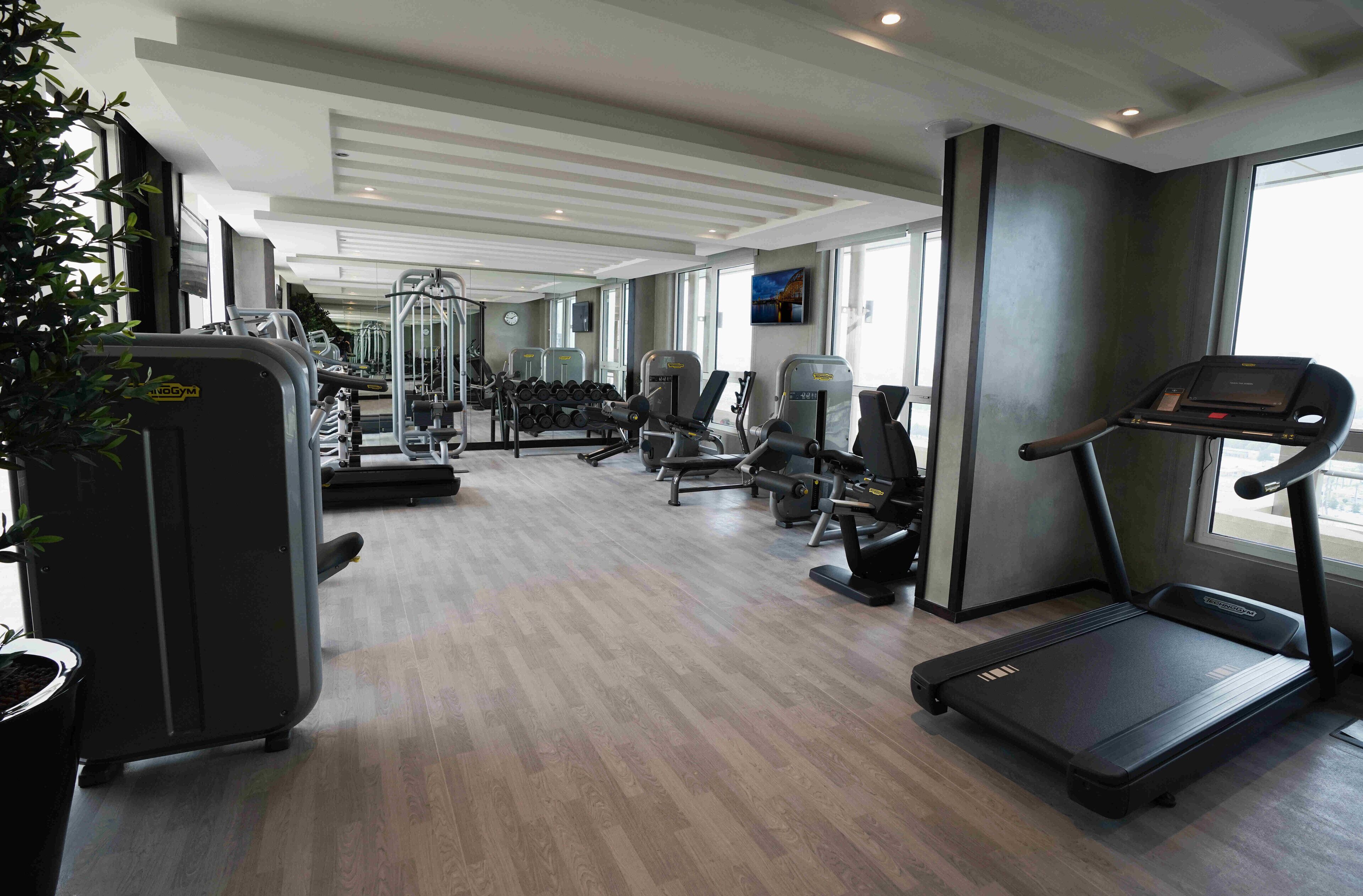 Un gimnasio moderno con cintas de correr, máquinas de pesas y pesas sueltas.