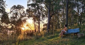 المنطقة المحيطة بالمنشأة