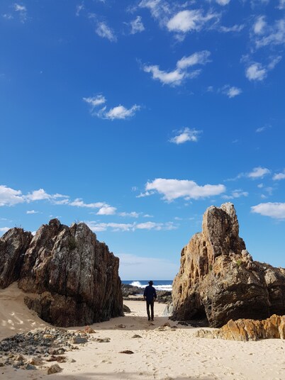 Dairy Song: For the musicians, artists, travellers, lovers of birdlife, yoga ...