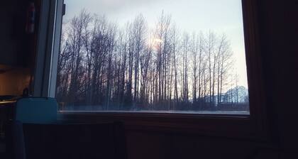 Palmer Cottage in the Mountains