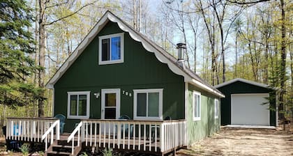 Private, wooded, cozy cabin close to Higgins Lake has everything you need!