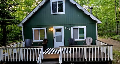 Private Up North Cabin Near Higgins Lake State Park