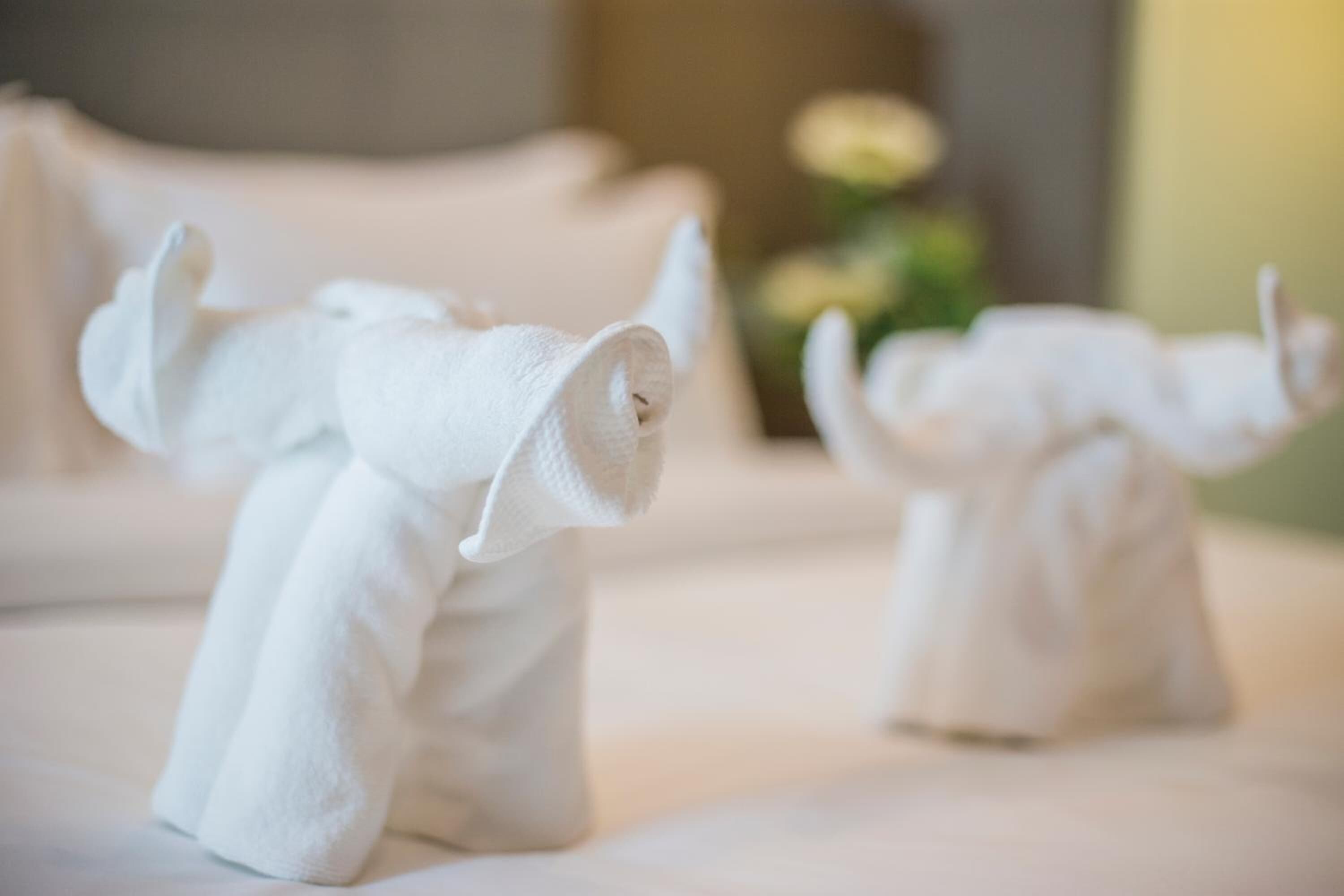 Photo - Grand Flora Hotel Melaka