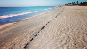 Una playa extensa y arenosa con olas suaves y un cielo azul despejado.