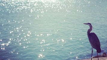 Perto da praia