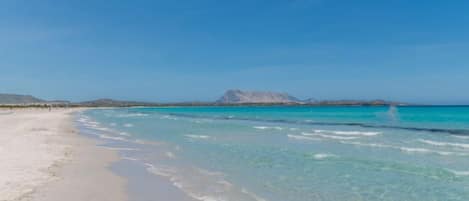 Vlak bij het strand