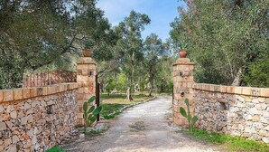 Un chemin de pierres qui traverse un jardin planté d’arbres et de cactus.