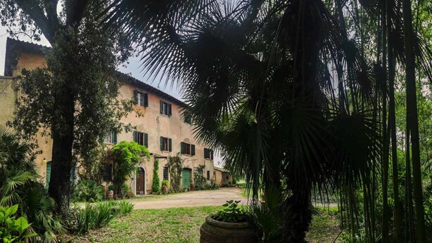 A courtyard with a building featuring a rustic facade, surrounded by lush greenery and palm trees. - Olive Tree Suite Apartment (Piombino (LI))