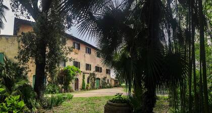 Olive Tree Suite Apartment